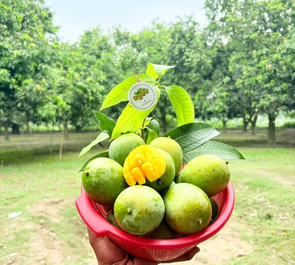 mango