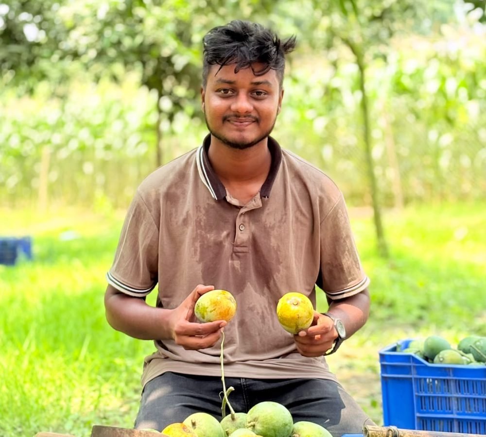 ন্যাংড়া আম main